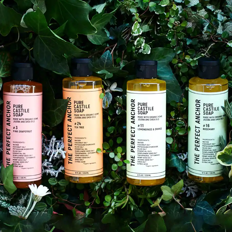 ザ パーフェクトアンカー