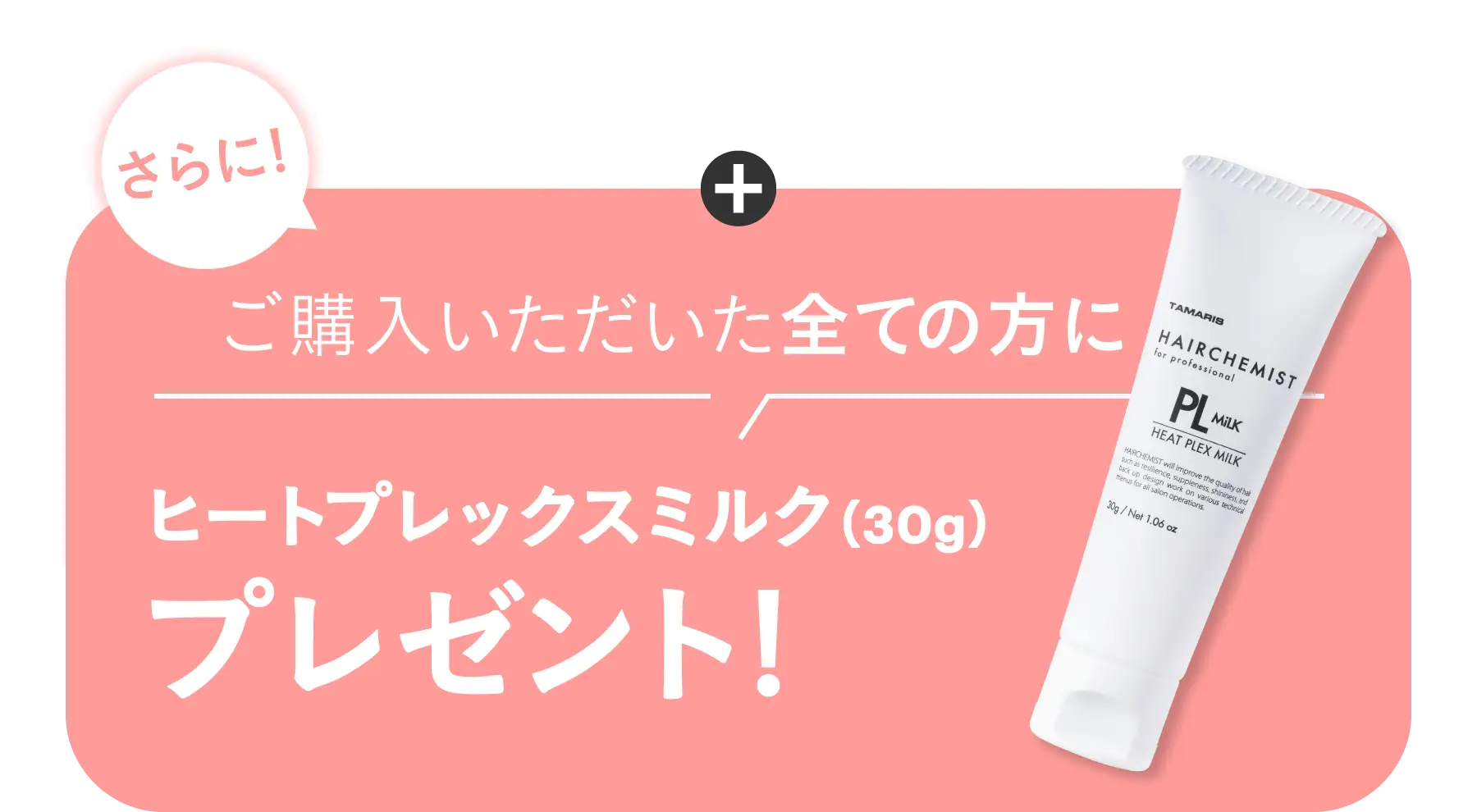 プレゼント