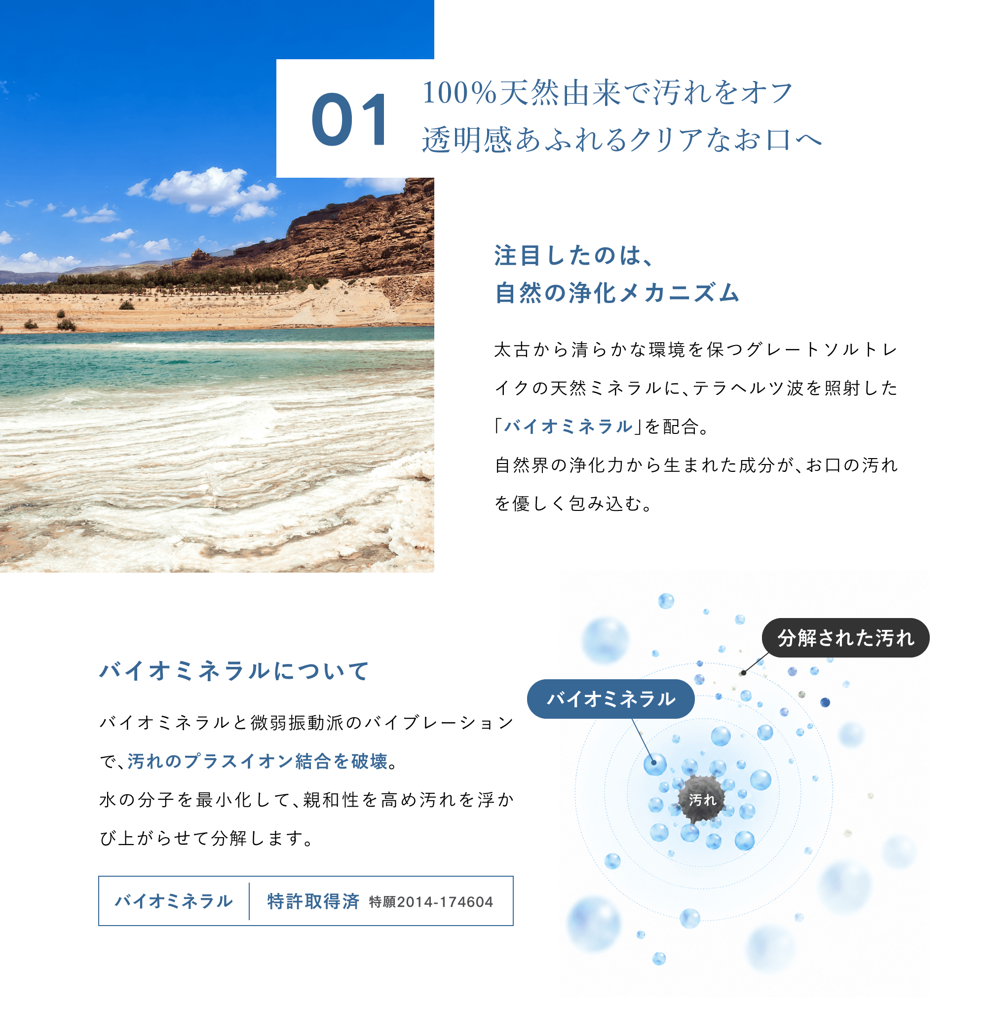 自然の浄化メカニズム,バイオミネラル