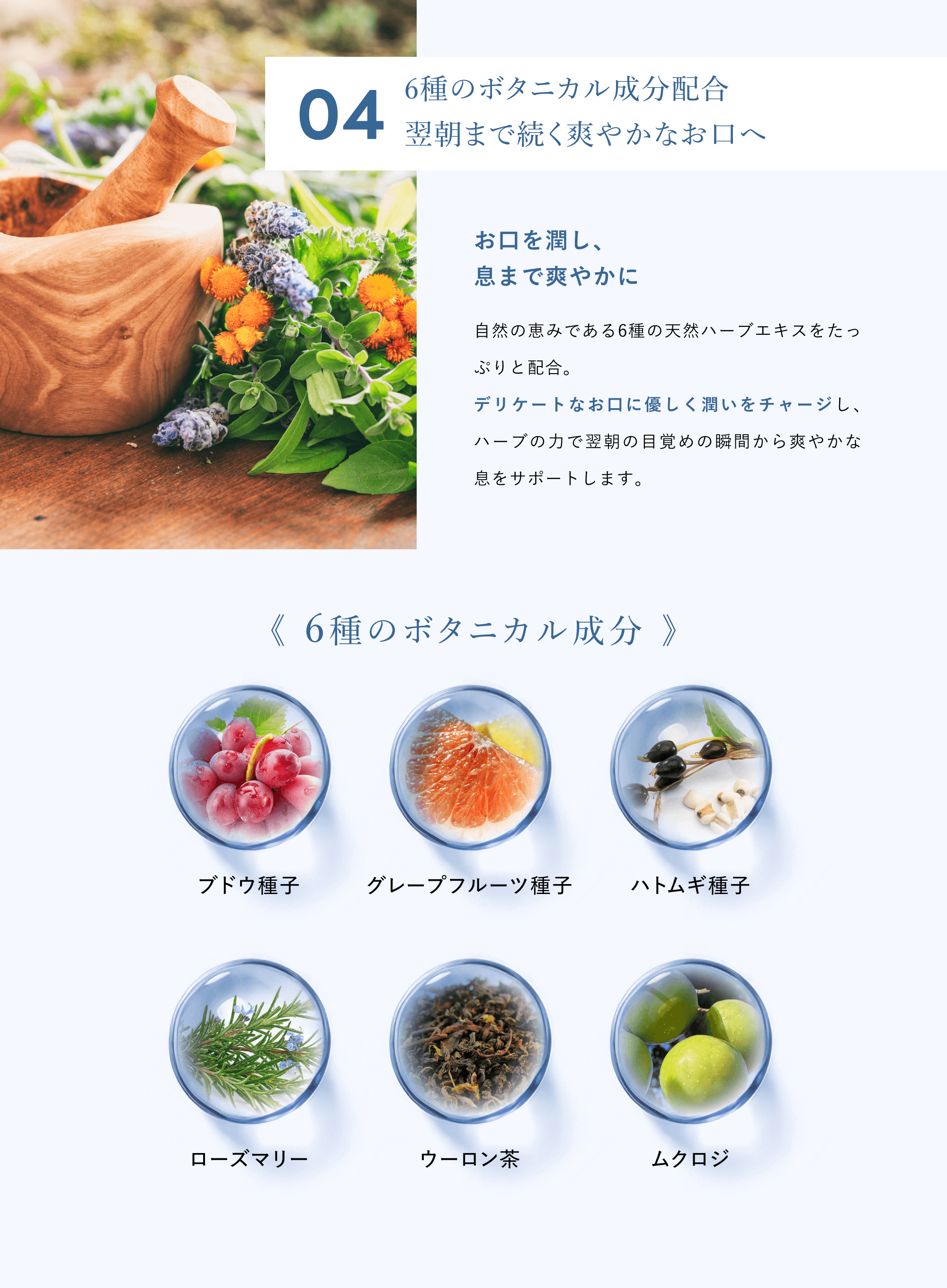 6種のボタニカル成分,ハーブ