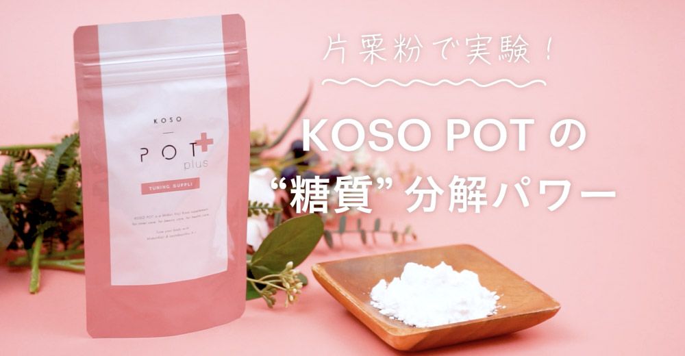 KOSO POT plus チューニングサプリ 90粒