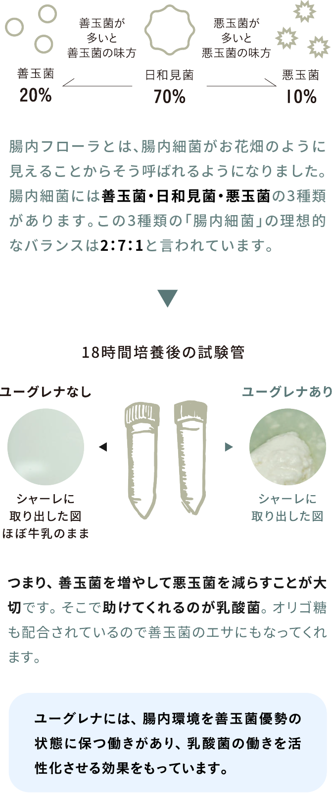 グリーンポットはミドリムシサプリメント。アナタの日々の食生活を