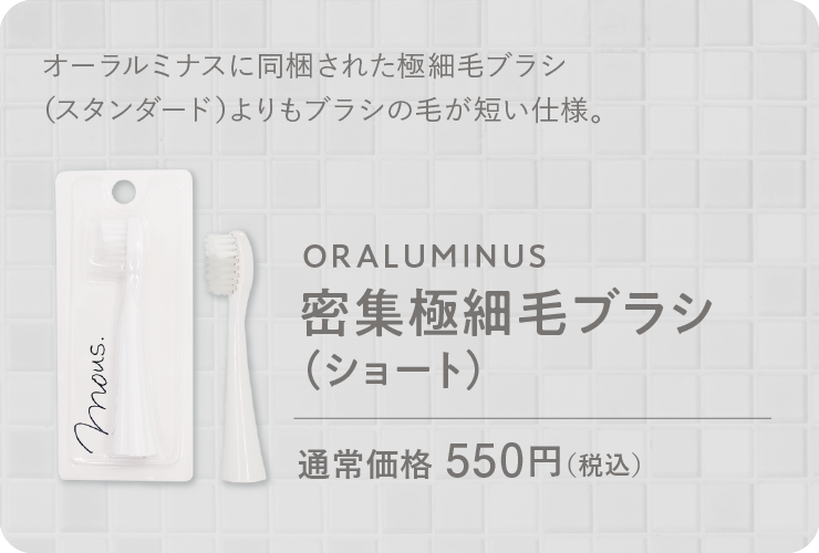 オーラルミナス 電動歯ブラシ ぶち込め